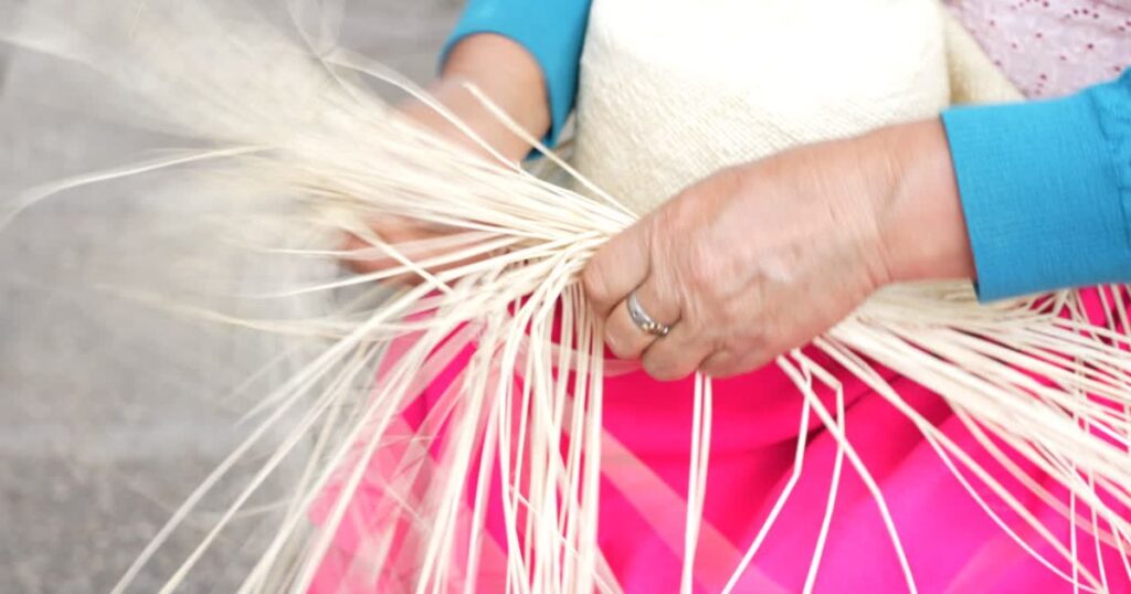 Credito-de-Desarrollo-Humano-CDH-2025